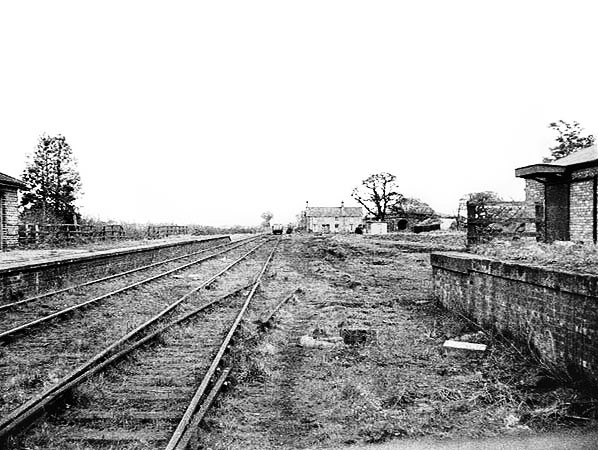 Potto Station