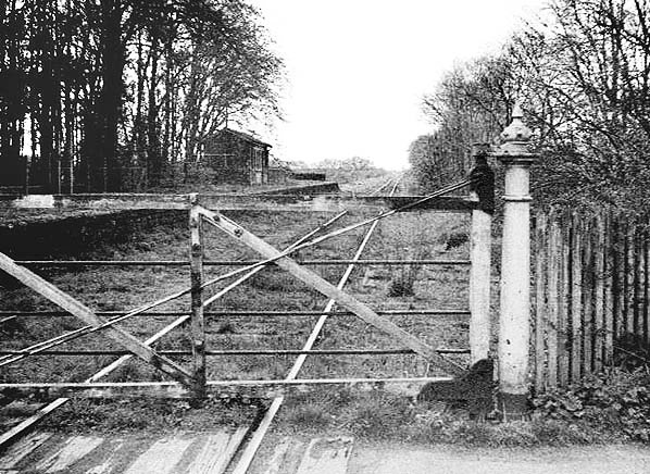 Potto Station