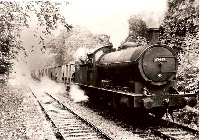Potto Station
